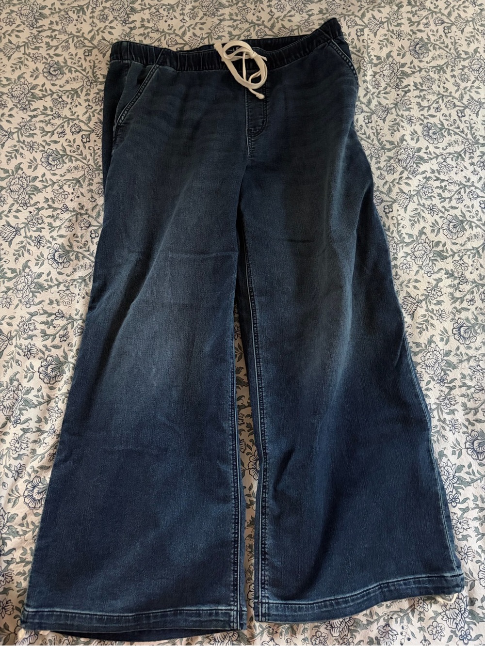 New with tags American Eagle Women’s Dreamy Drape Cozy Baggy Jogger wide leg L
